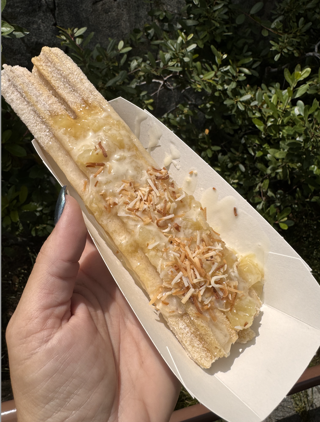 Summer Disneyland Churros